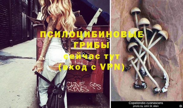 мескалин Богородицк