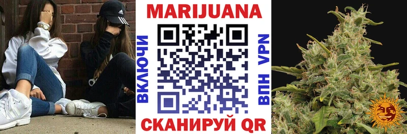 KRAKEN как зайти  хочу   Краснозаводск  Каннабис индика 